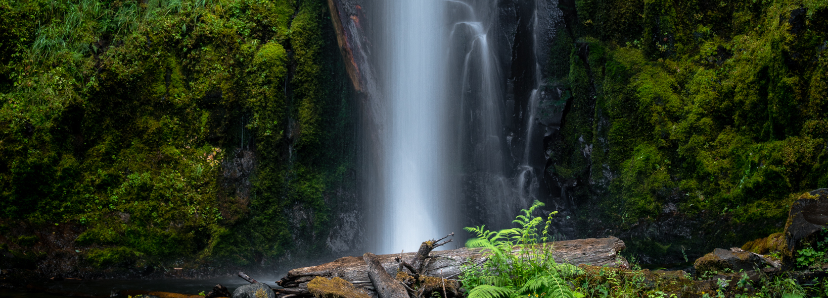 Dry Creek Falls Shot Wins Grand Prize in Friends' Sixth Annual Photo Contest