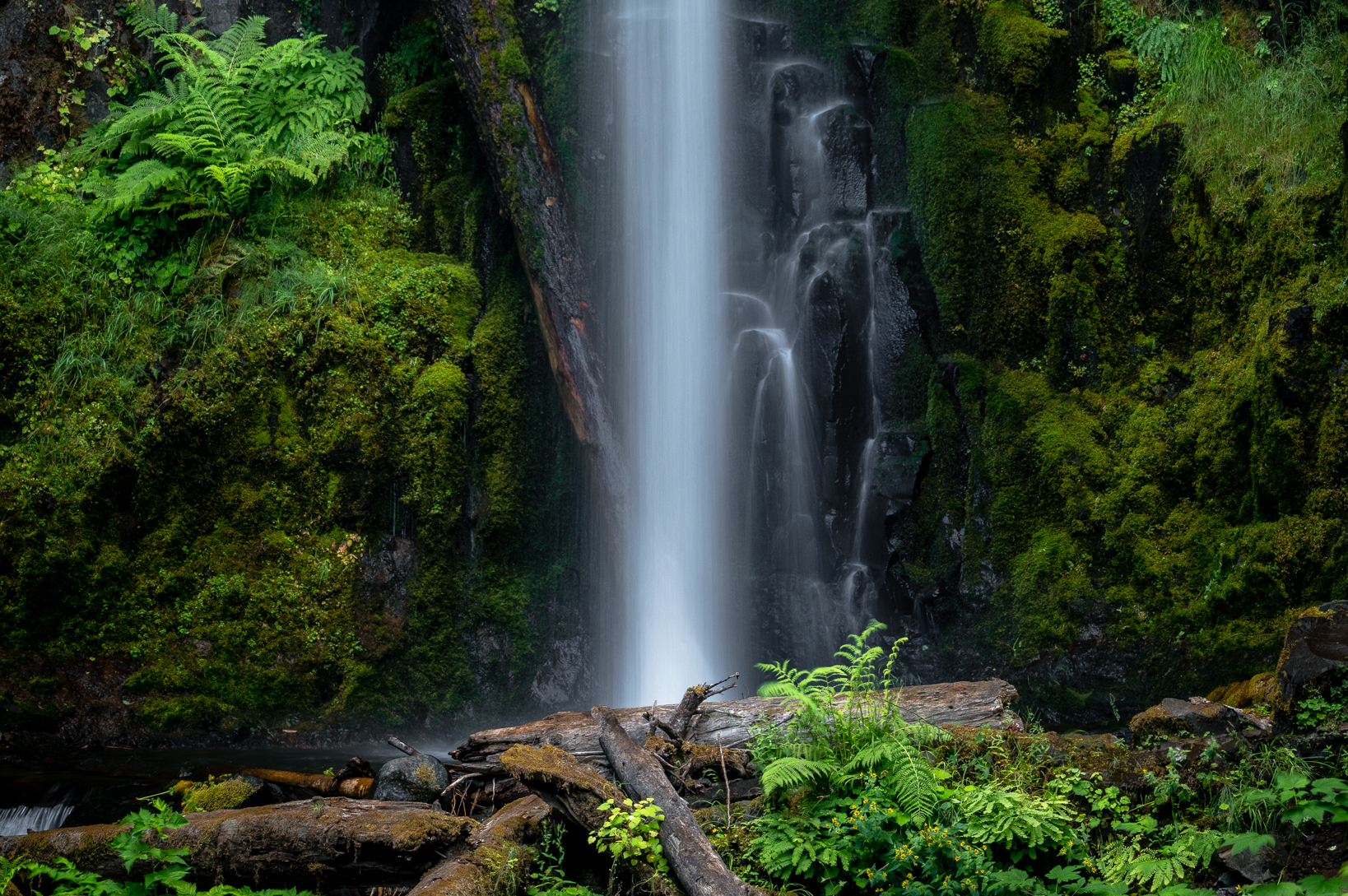 Dry Creek Falls Shot Wins Grand Prize in Friends' Sixth Annual Photo Contest