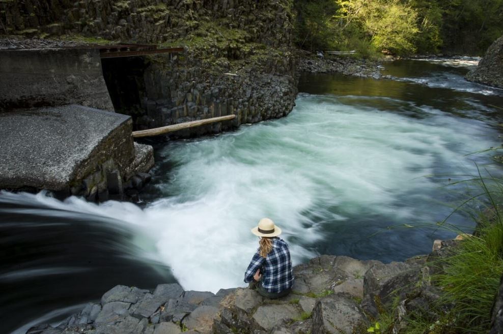 Willamette Week: Here's How Oregon Forests and Waterfalls Could Reopen in Coming Weeks