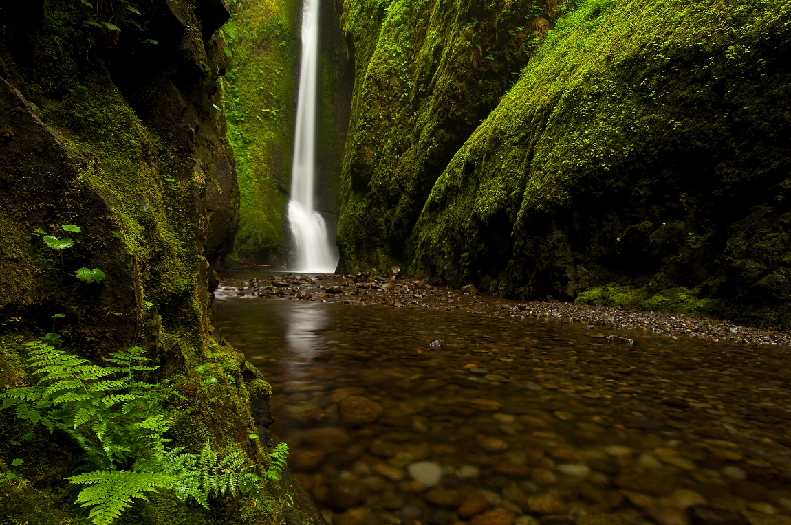 Friends of the Columbia Gorge Launches Spring Gorge Haiku Challenge