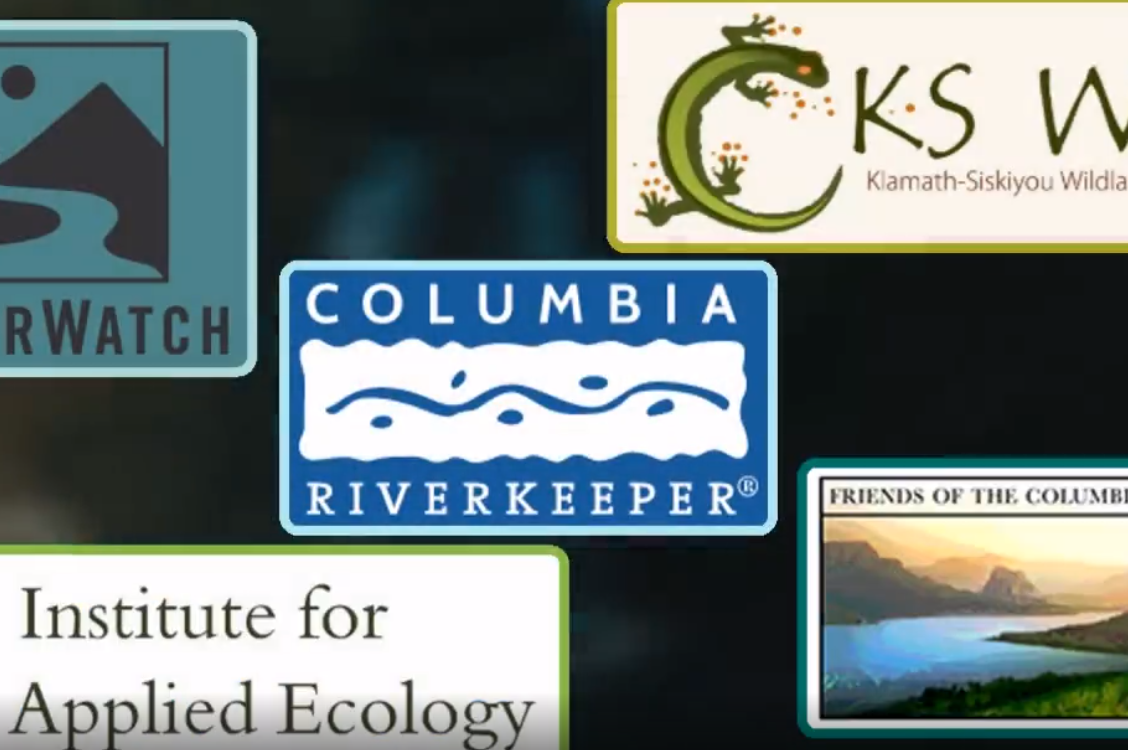 EZVid: 5 Vigilant Groups Defending Wildlife And Natural Resources In Oregon (VIDEOS)