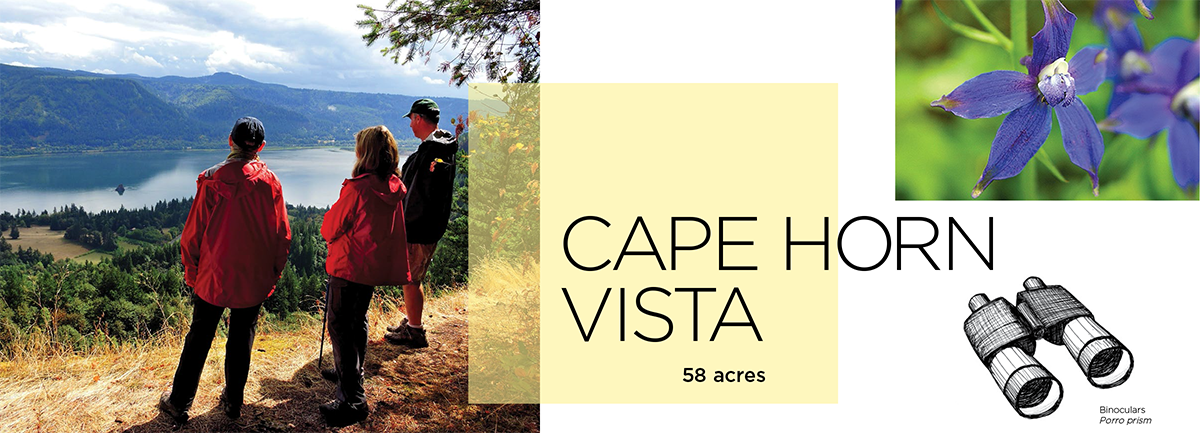 Cape Horn Vista