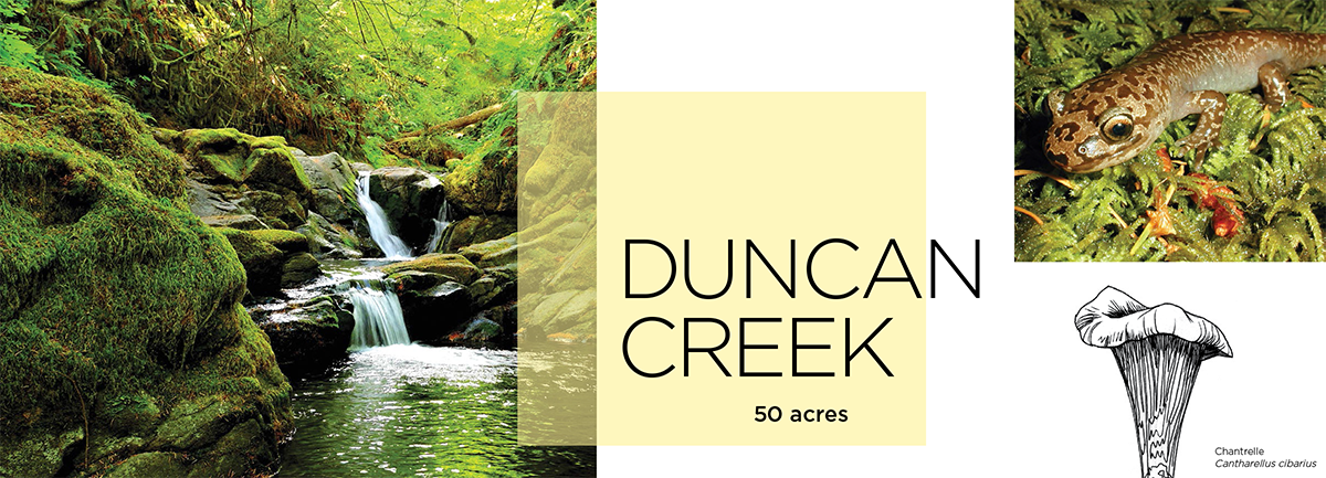 Duncan Creek