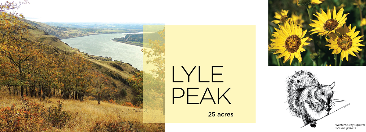 Lyle Peak