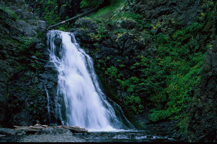 Dog Creek Falls