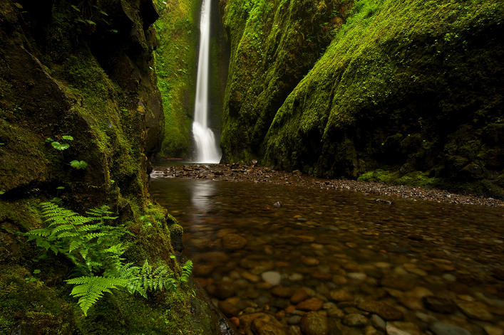 Oneonta Gorge to Lower Oneonta Falls