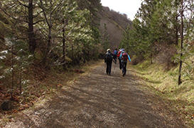 Klickitat Trail - Fisher Hill to Pitt