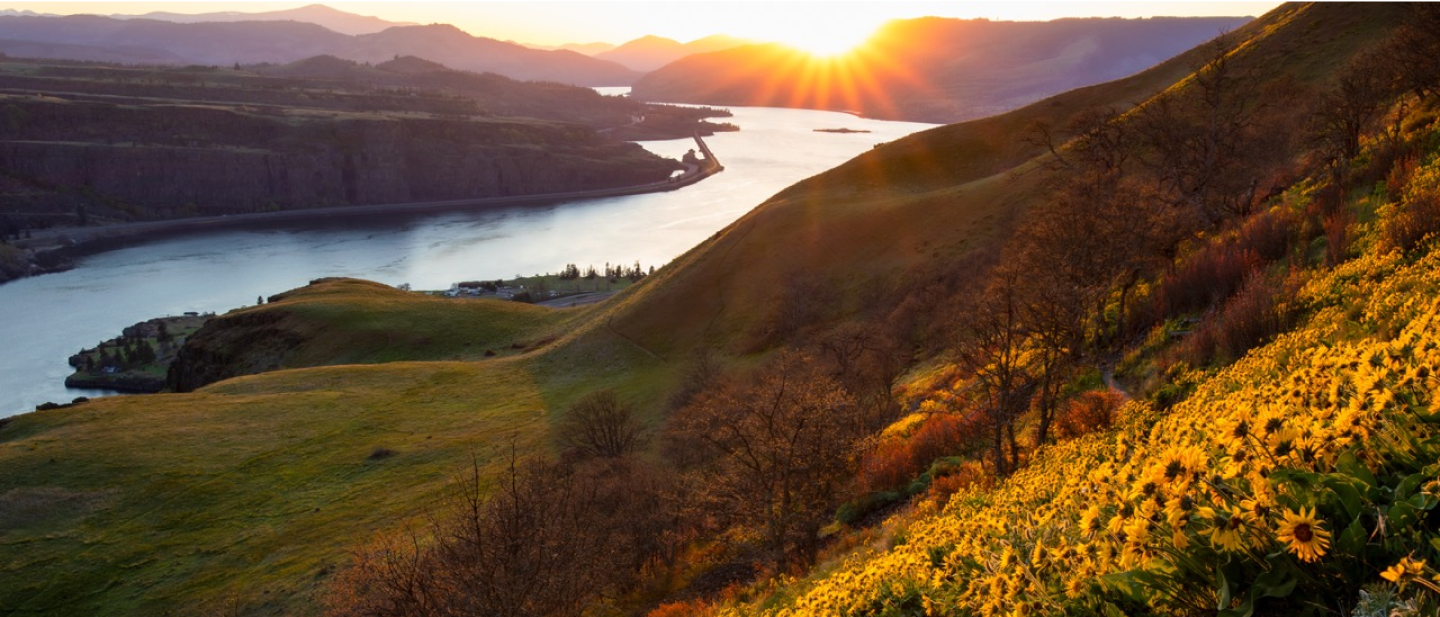 Sunset over the gorge, golden light and a burst of sunshine.