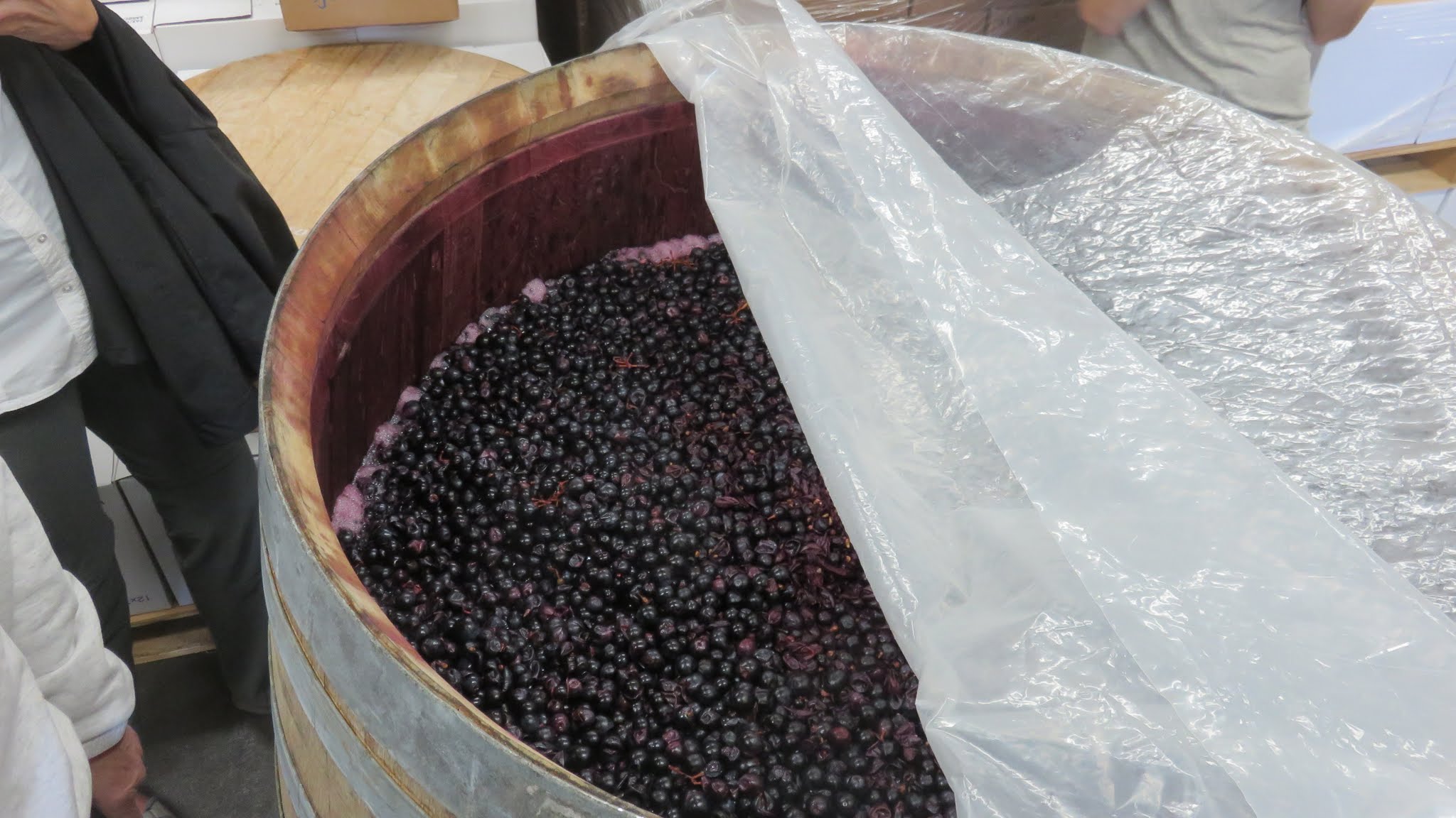 The fertile countryside of the Columbia Gorge supports a wide variety of crops, including stone fruits like wine grapes. © Bill Udy (wine grapes from Analemma Wines, Mosier, Oregon)
