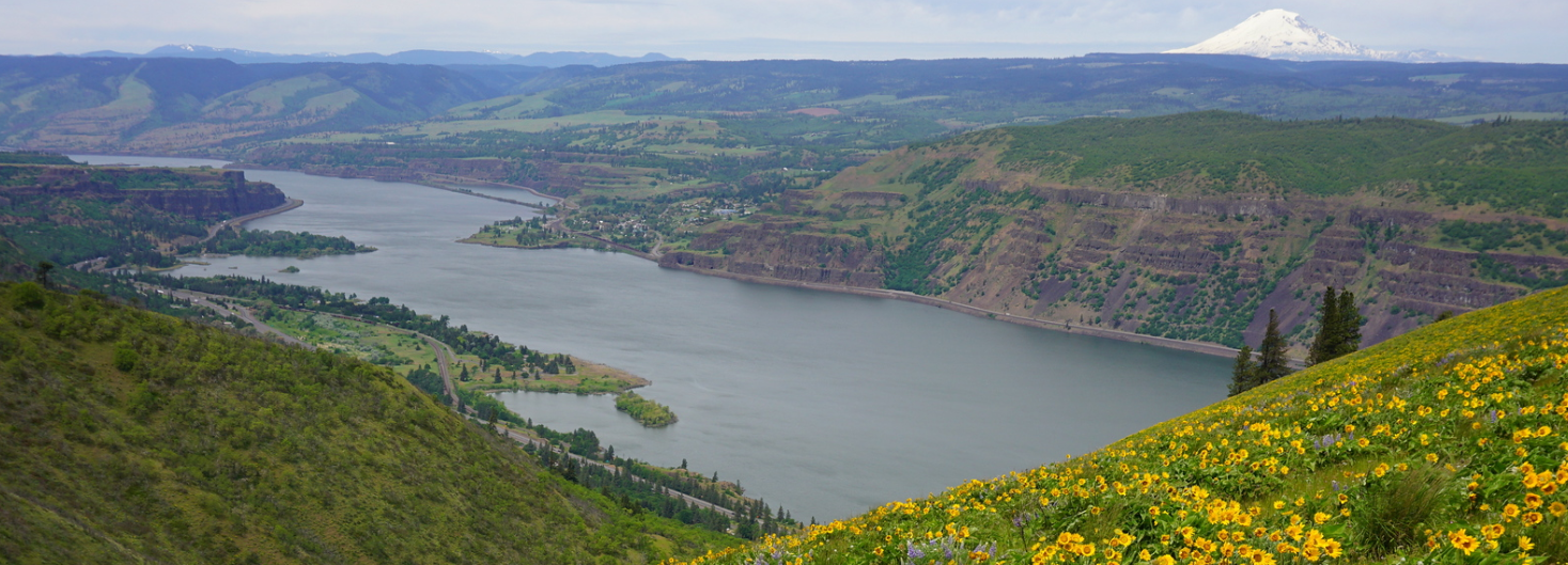 A downriver view from Mt. Ulka with Mt. Adams to the north. Photo by Debbie Asakawa.
