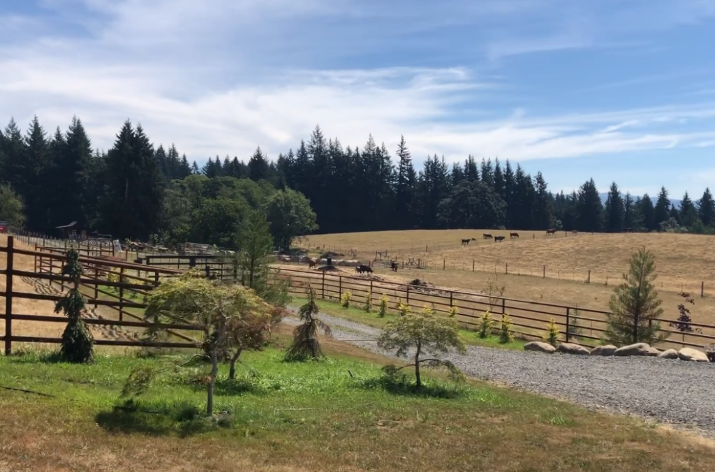 Norway Green, LLC seeks to build a large non-farm dwelling on this Gorge farmland. © Sherri Irish