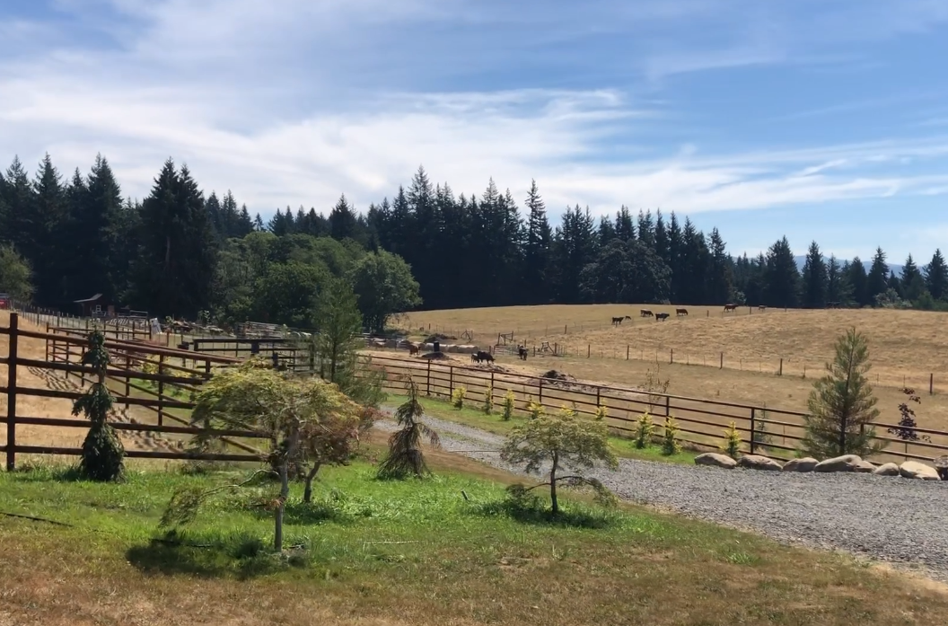 Norway Green, LLC seeks to build a large non-farm dwelling on this Gorge farmland. © Sherri Irish