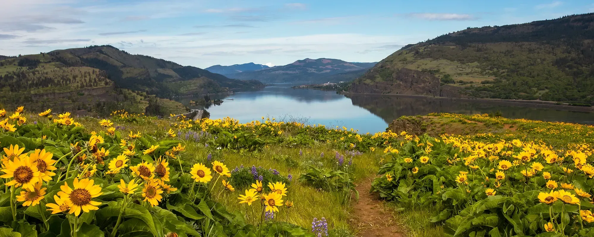 Mosier Plateau Trail. Photo by Cate Hotchkiss.