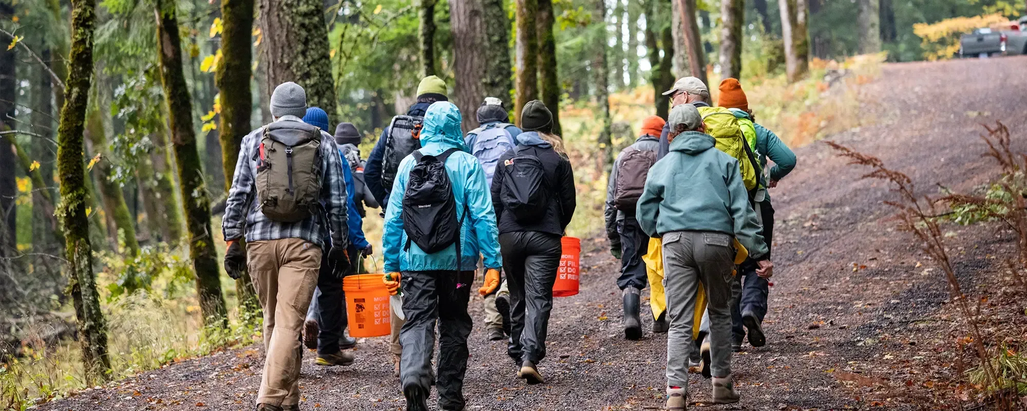 Volunteer Stewardship. Photo by Cate Hotchkiss.
