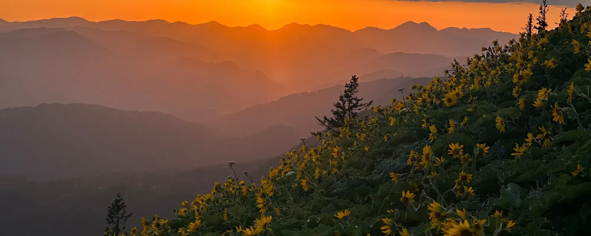 Dog Mountain Sunset