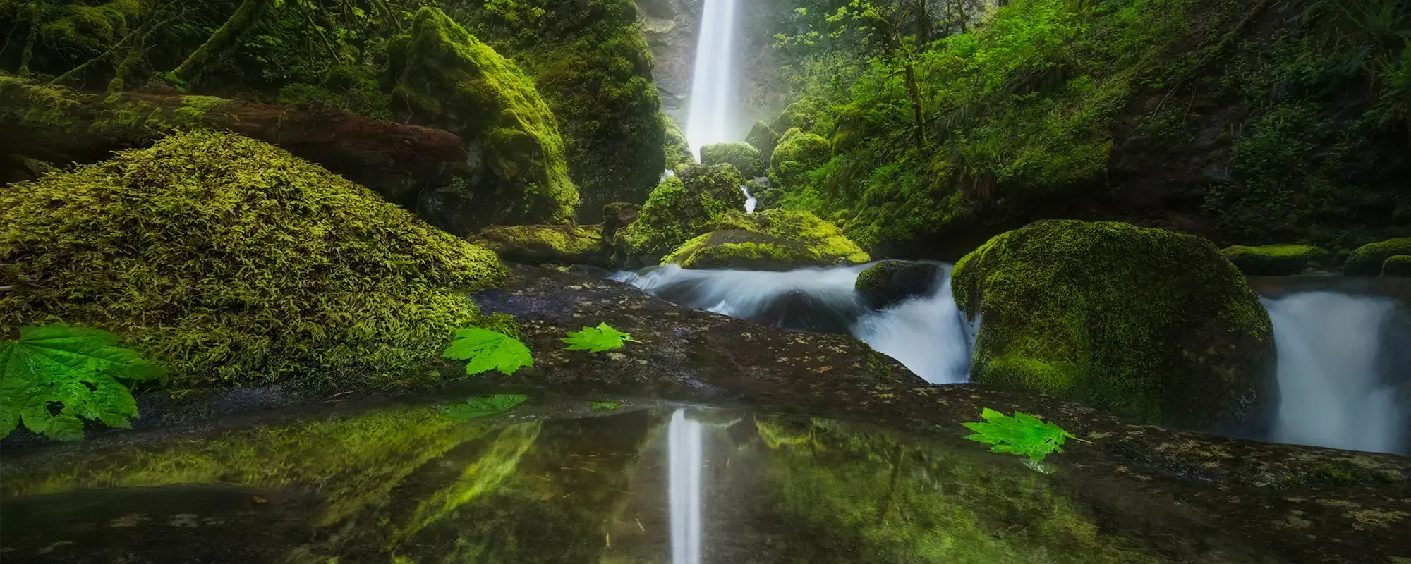 Wonders of the Columbia Gorge _ Matt Meisenheimer