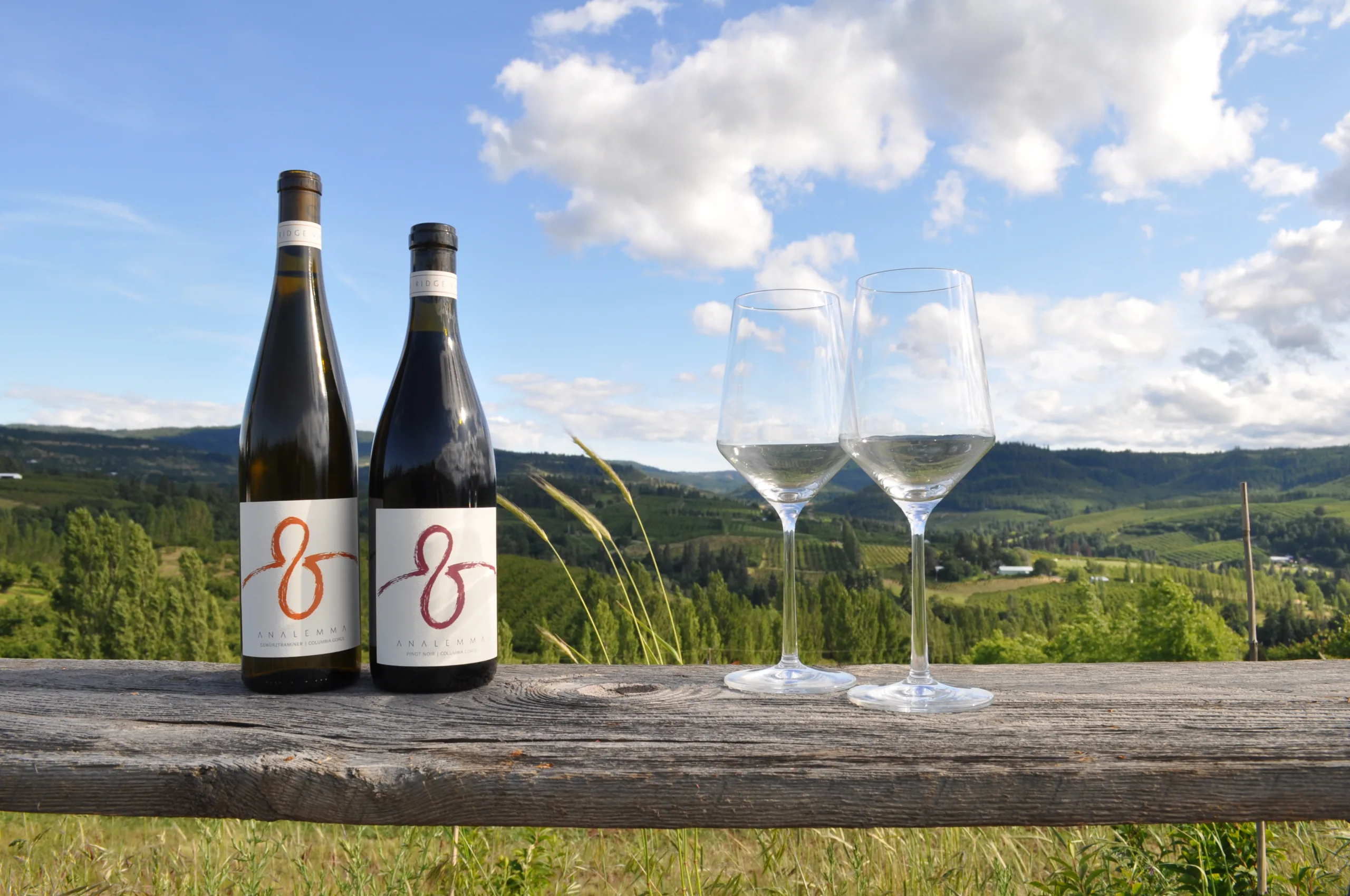 Analemma Winery