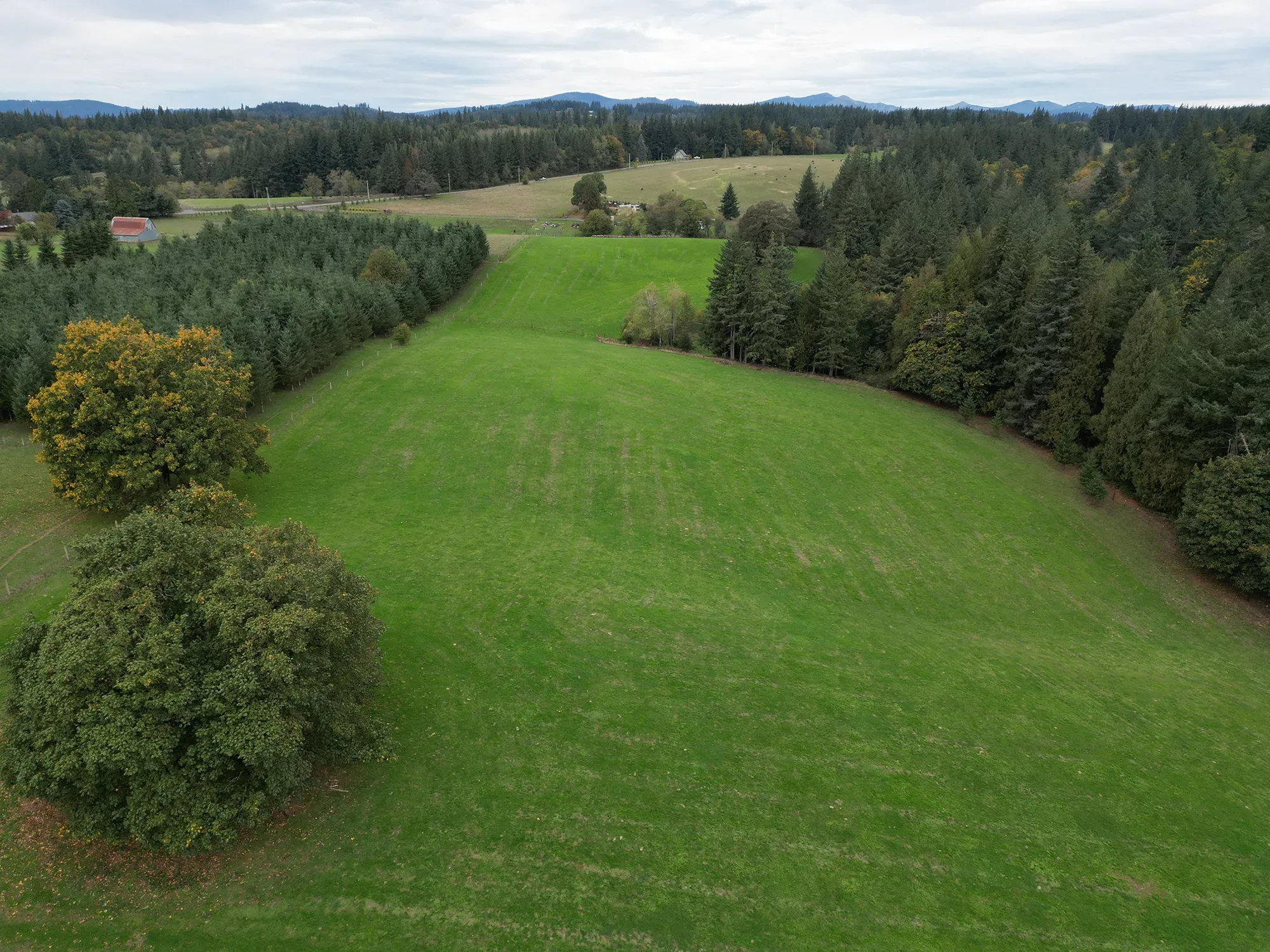 Friends’ legal victories will help protect prime farmland not only on the Norway Green property, pictured here, but throughout the entire National Scenic Area. Photo by Monique Trevett, Friends of the Columbia Gorge.