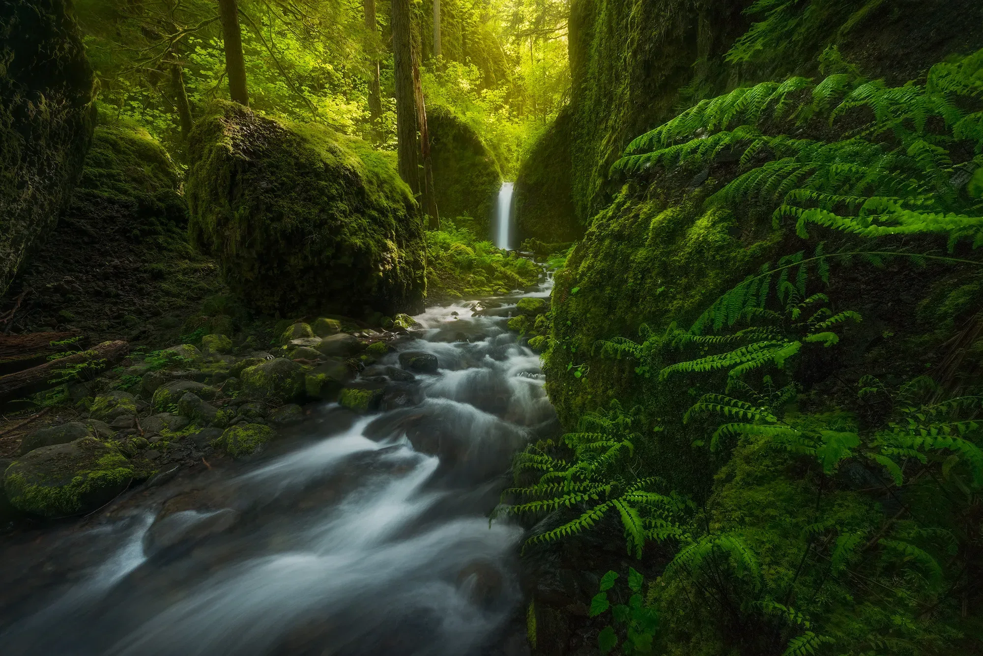 Elowah Falls. Photo by Matt Meisenheimer.