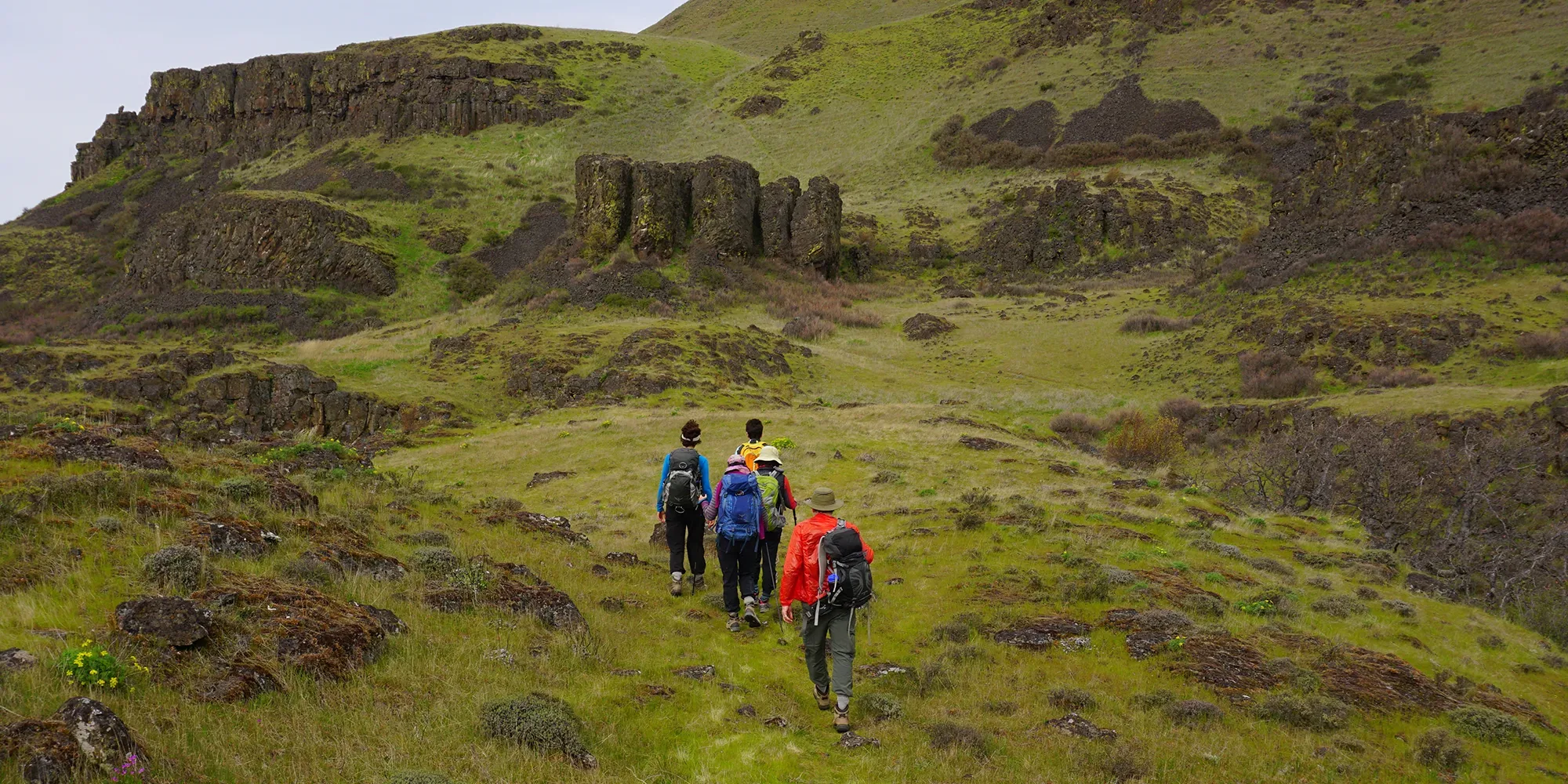 Hikers at Lyle Cherry Orchard. Photo by Debbie Asakawa.