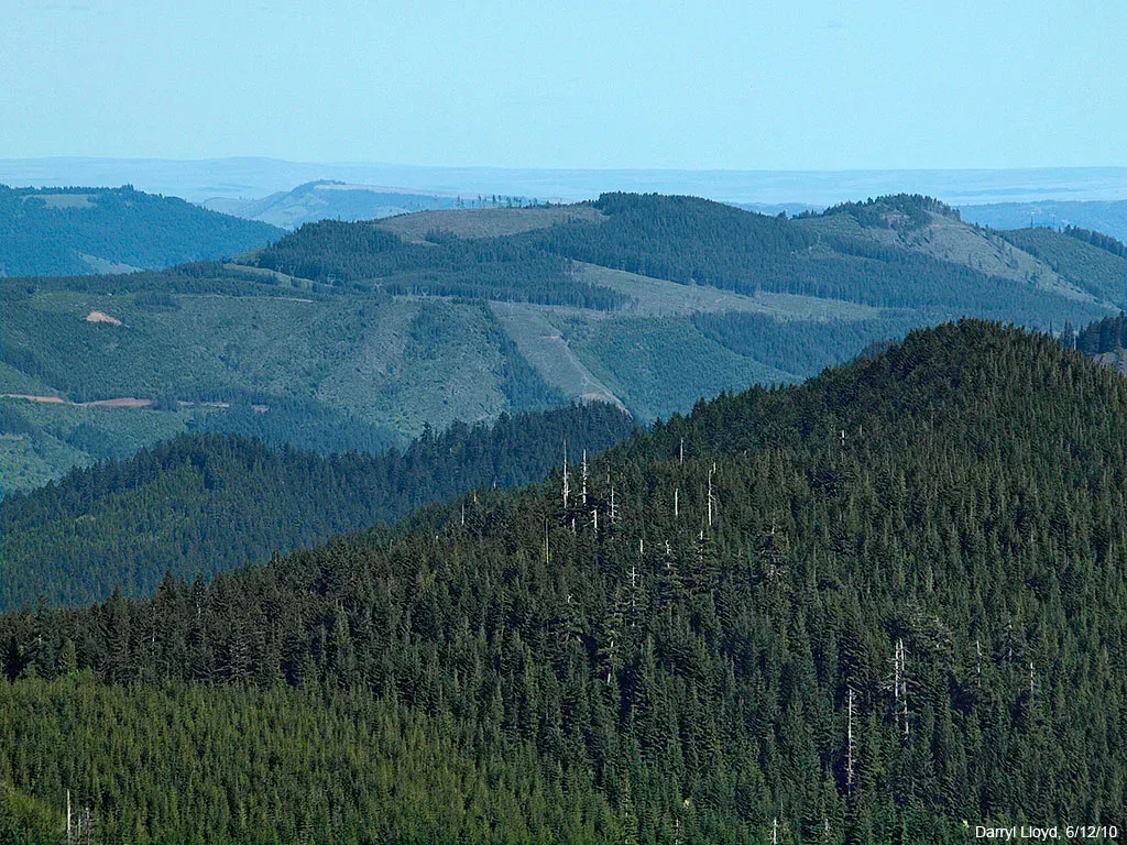 The Whistling Ridge project would have marred this scenic view from the Grassy Knoll Trail, and from numerous other trails and viewpoints around the region. Photo by Darryl Lloyd.