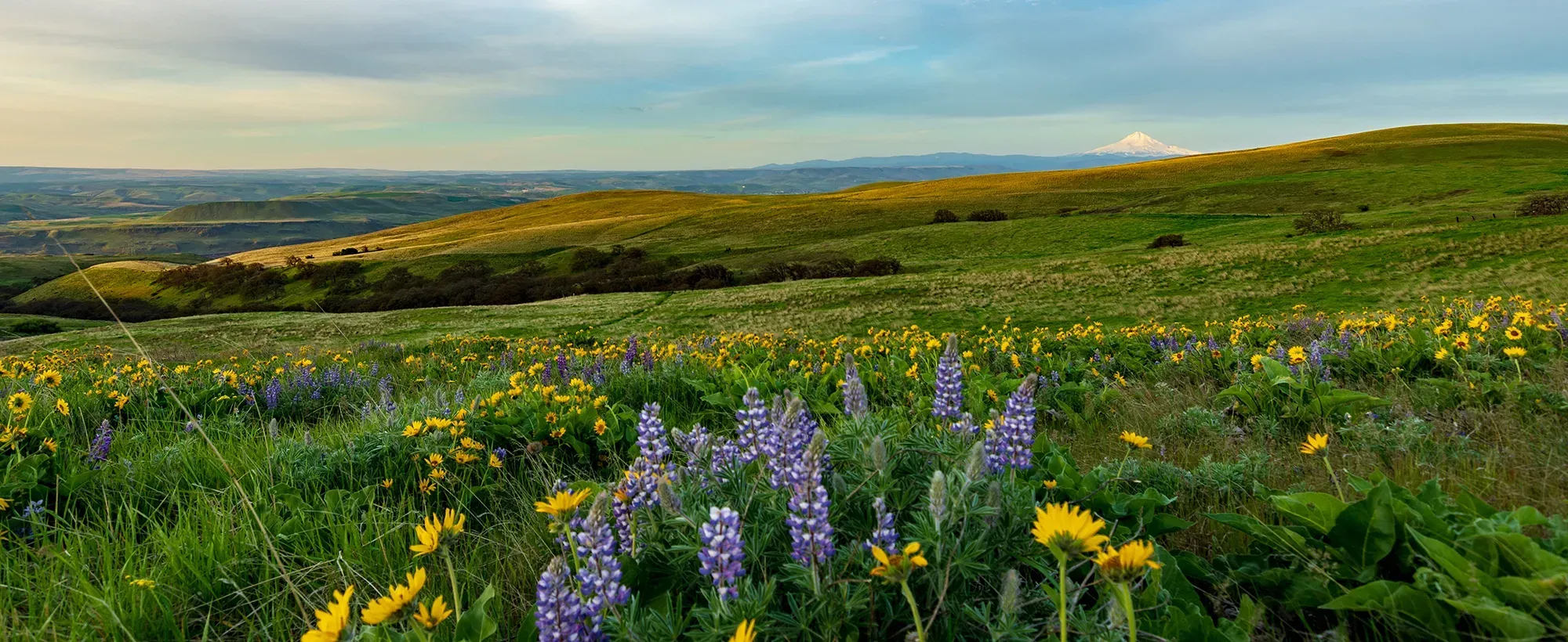 Dalles Mountain Ranch. Photo by Andrew Kolkjen.