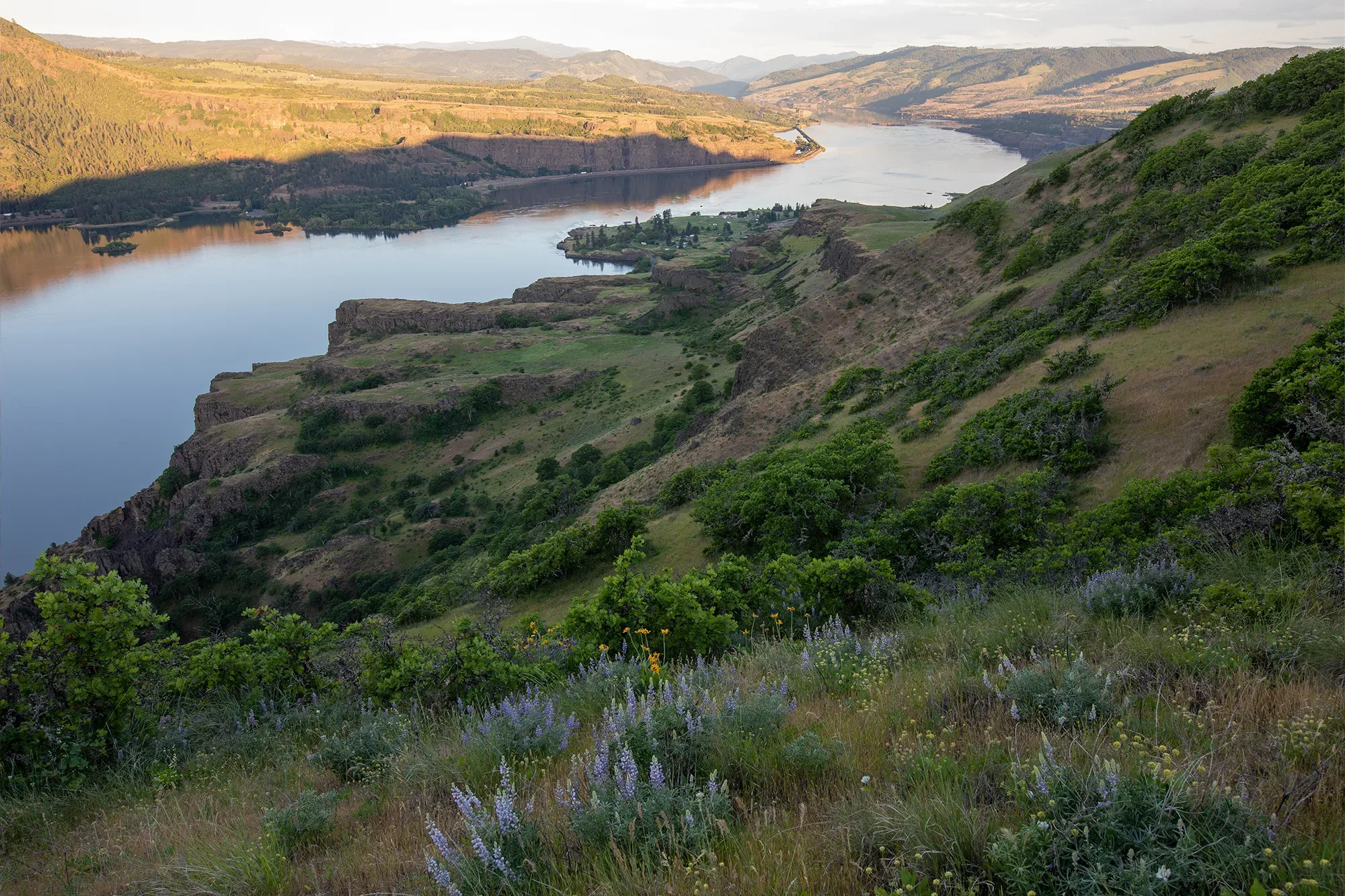 Lyle Cherry Orchard. Photo by Cate Hotchkiss.