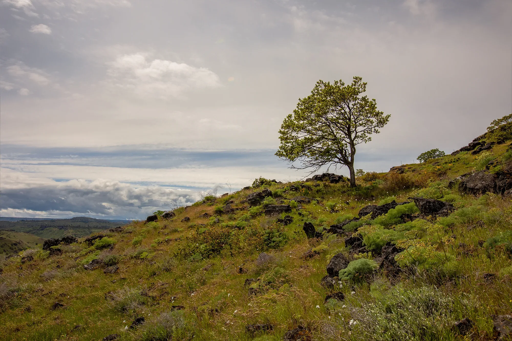 Mt. Ulka. Photo by Cate Hotchkiss.