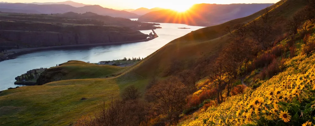 Sunset at Lyle Cherry Orchard. Photo by Cate Hotchkiss.