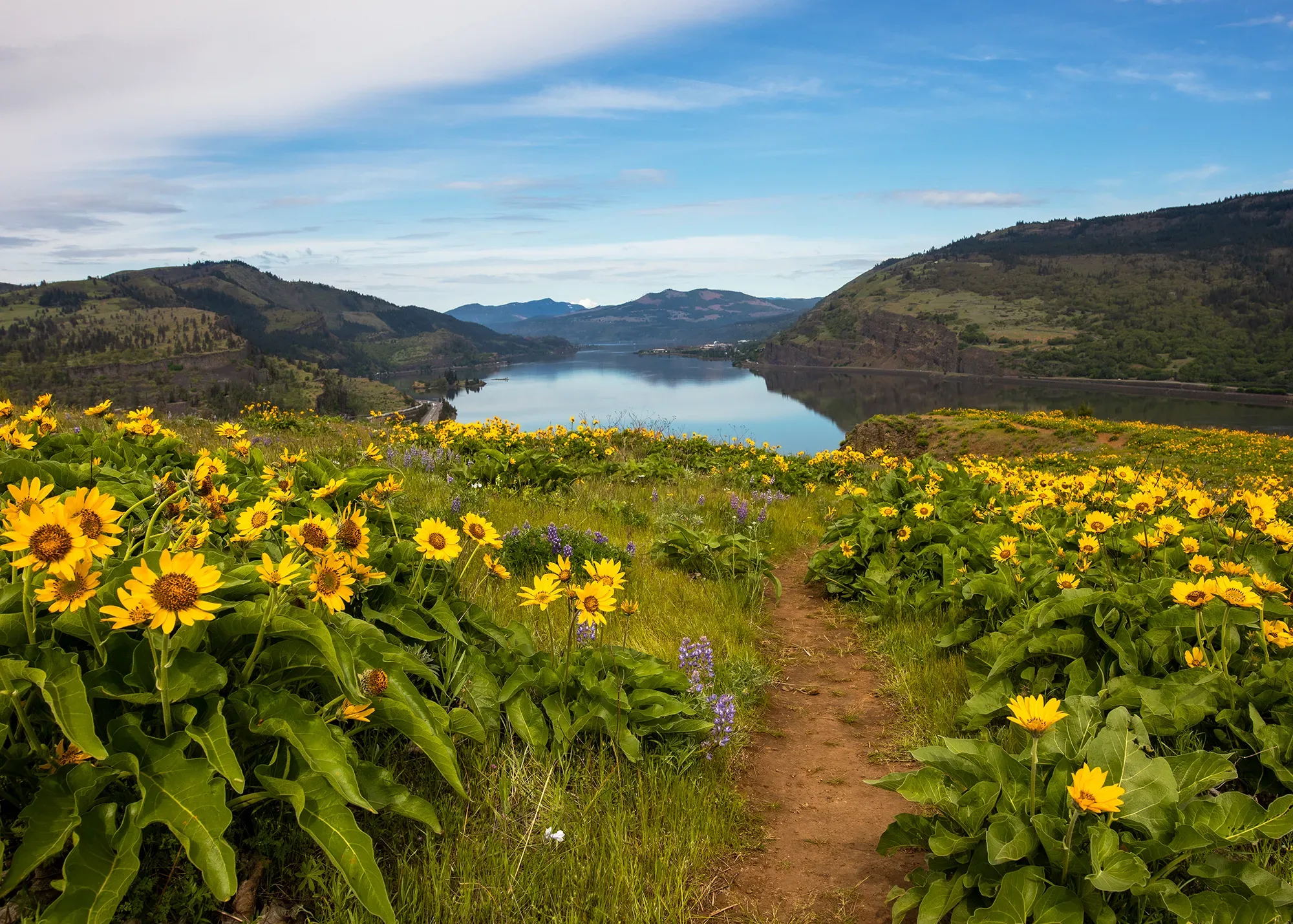 Mosier Plateau. Photo by Cate Hotchkiss.