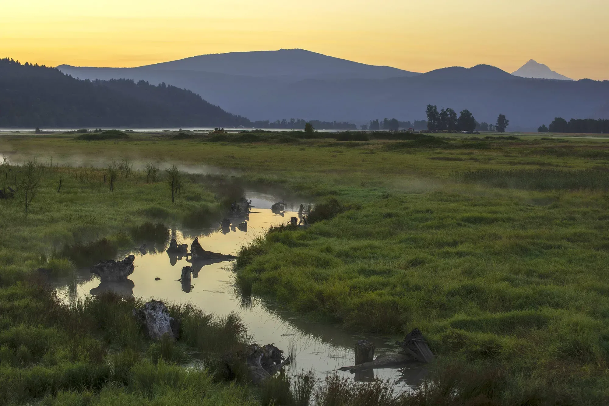 Gibbons Creek at Steigerwald Lake National Wildlife Refuge. Photo by Cate Hotchkiss.