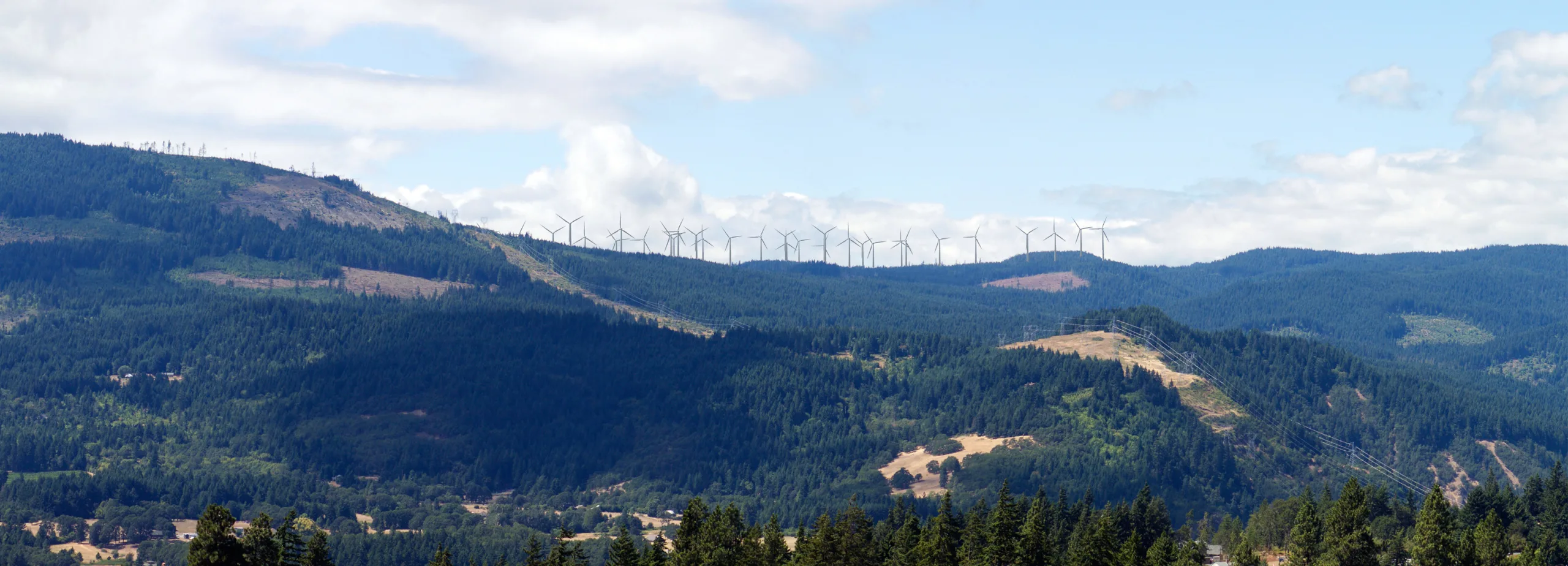 Of the 50 wind turbines proposed on private land, 30 would have been visible from the Strawberry Mountain neighborhood in the city of White Salmon. Photo simulation by Whistling Ridge Energy, LLC.