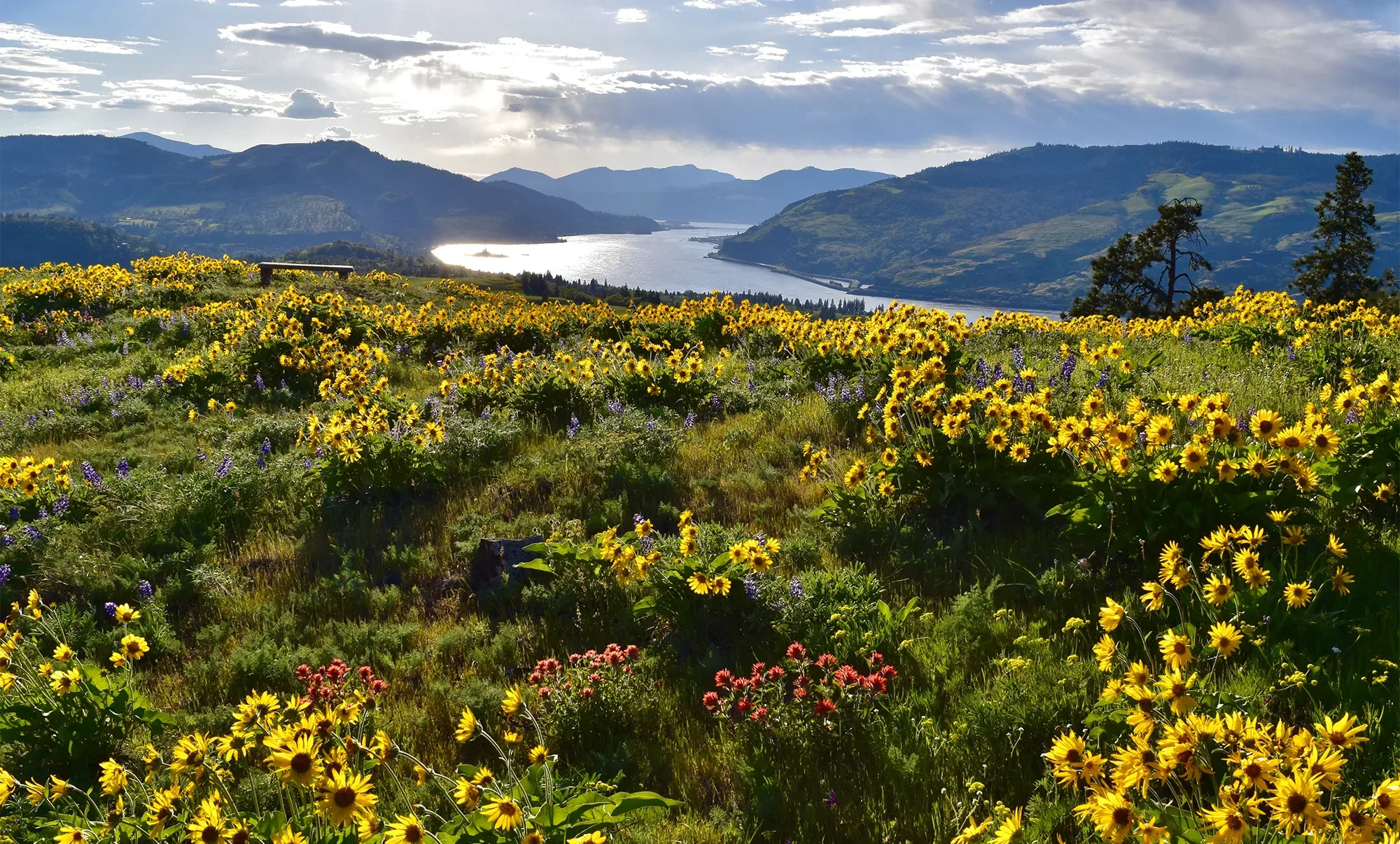 Looking west from Chatfield Hill. Photo by Robert Meyers.