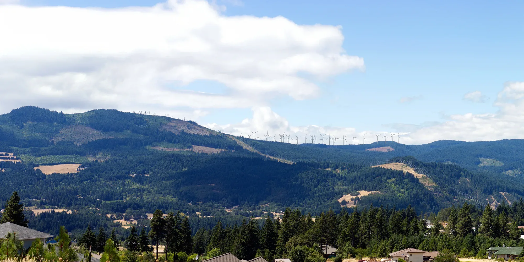 Of the 50 wind turbines proposed on private land, 30 would have been visible from the Strawberry Mountain neighborhood in the city of White Salmon. Photo simulation by Applicant Whistling Ridge Energy, LLC.