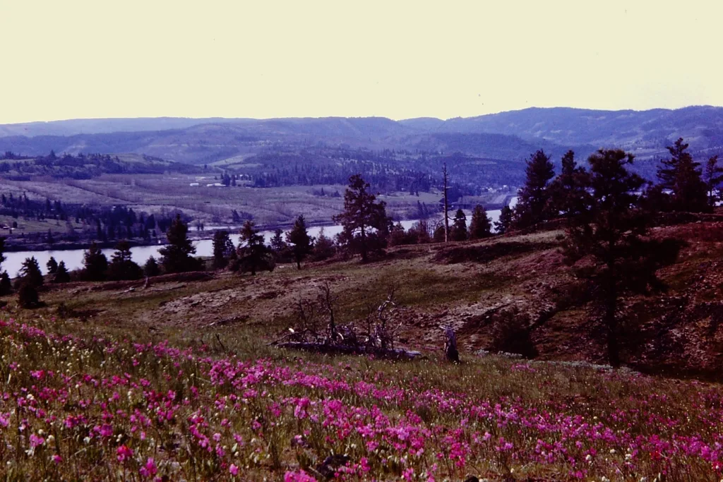 View looking across Columbia River from Catherine Creek, 1986. (Friends archive)