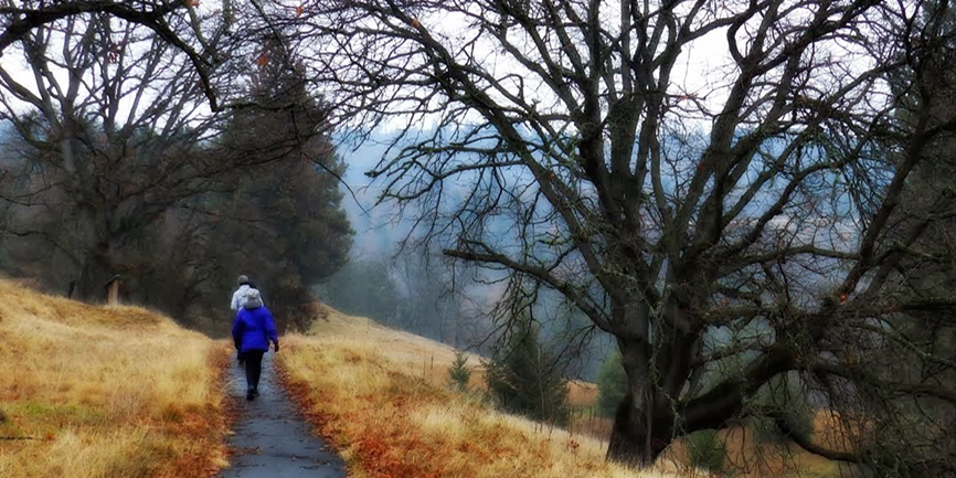 Hiking the Balfour-Klickitat Loop trail. Photo by Debbie Asakawa.