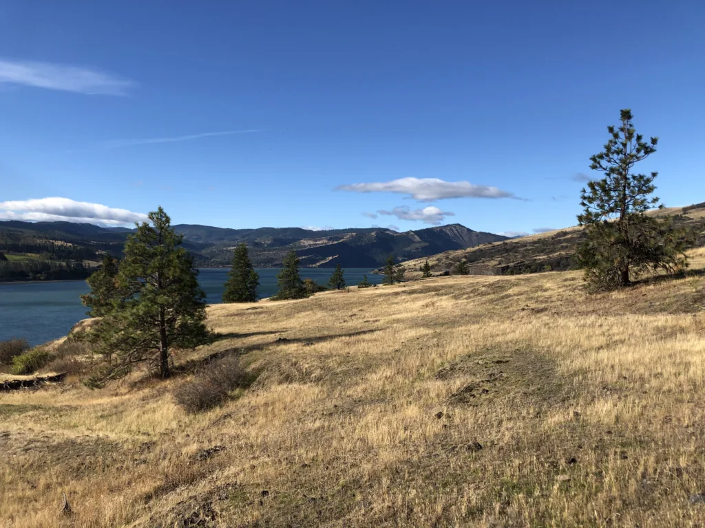 Southwest-facing view from the new Catherine Creek conservation preserve. (photographer: Stan Hall)