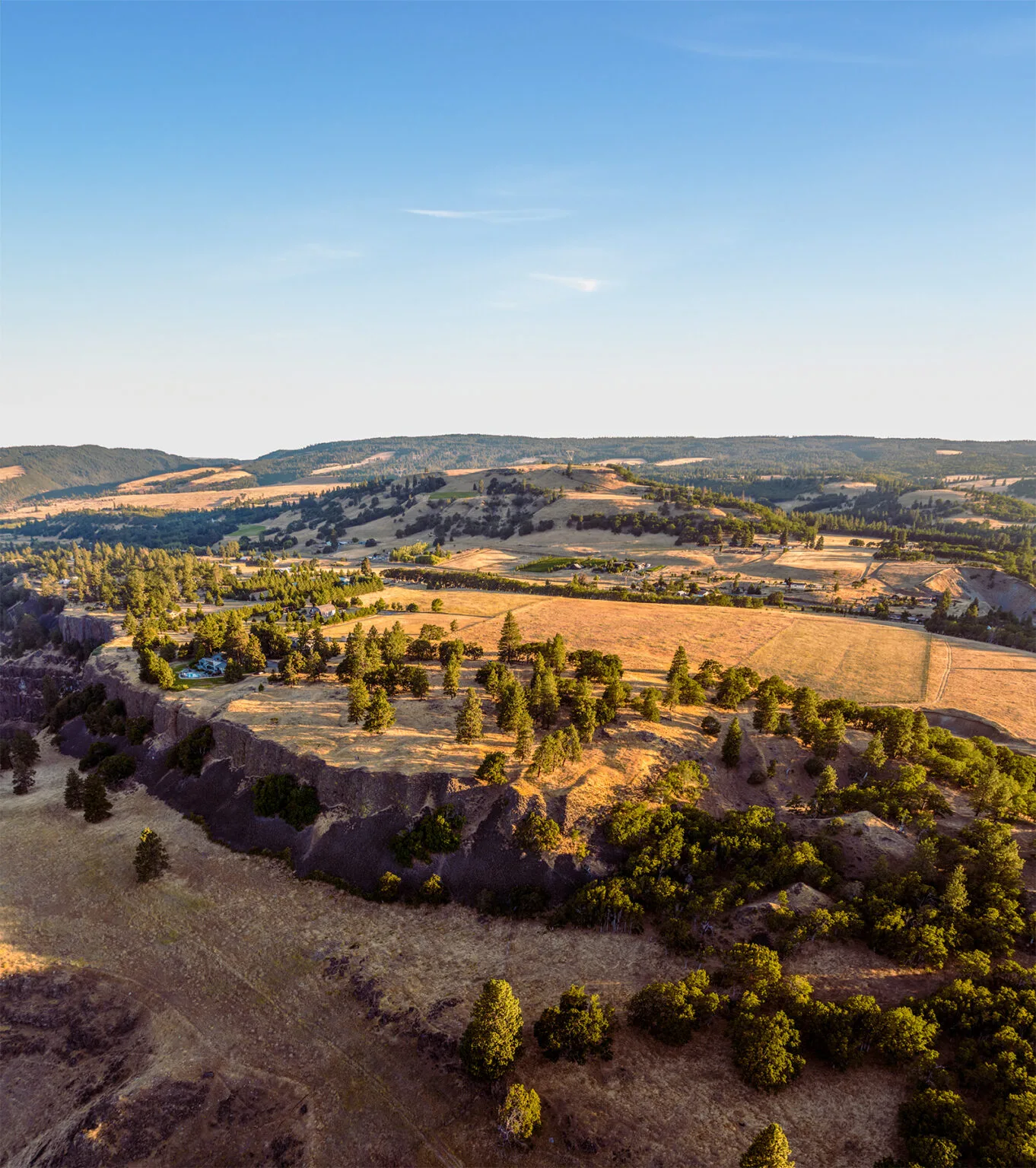 Heartleaf Bluffs. Photo by Paloma Ayala.