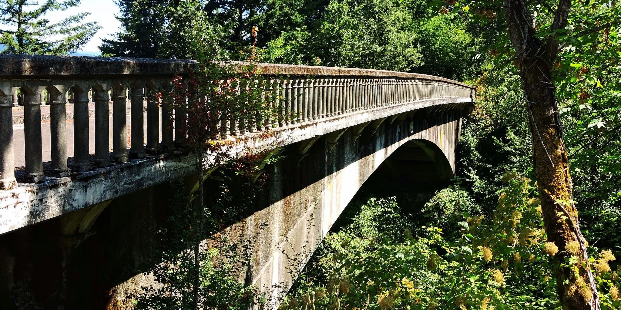 One of the several bridges you can walk or bike across along the paved Historic Columbia River Highway State Trail. Photo by Debbie Asakawa.