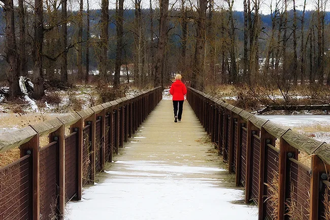 On the trail at Steigerwald Lake National Wildlife Refuge, December 2016. (photos courtesy of Debbie Asakawa)
