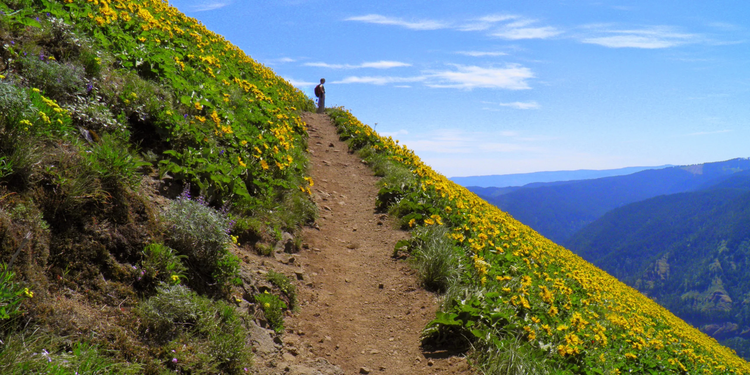 Reflective moment on Dog Mountain. Photo from Friends' archive.
