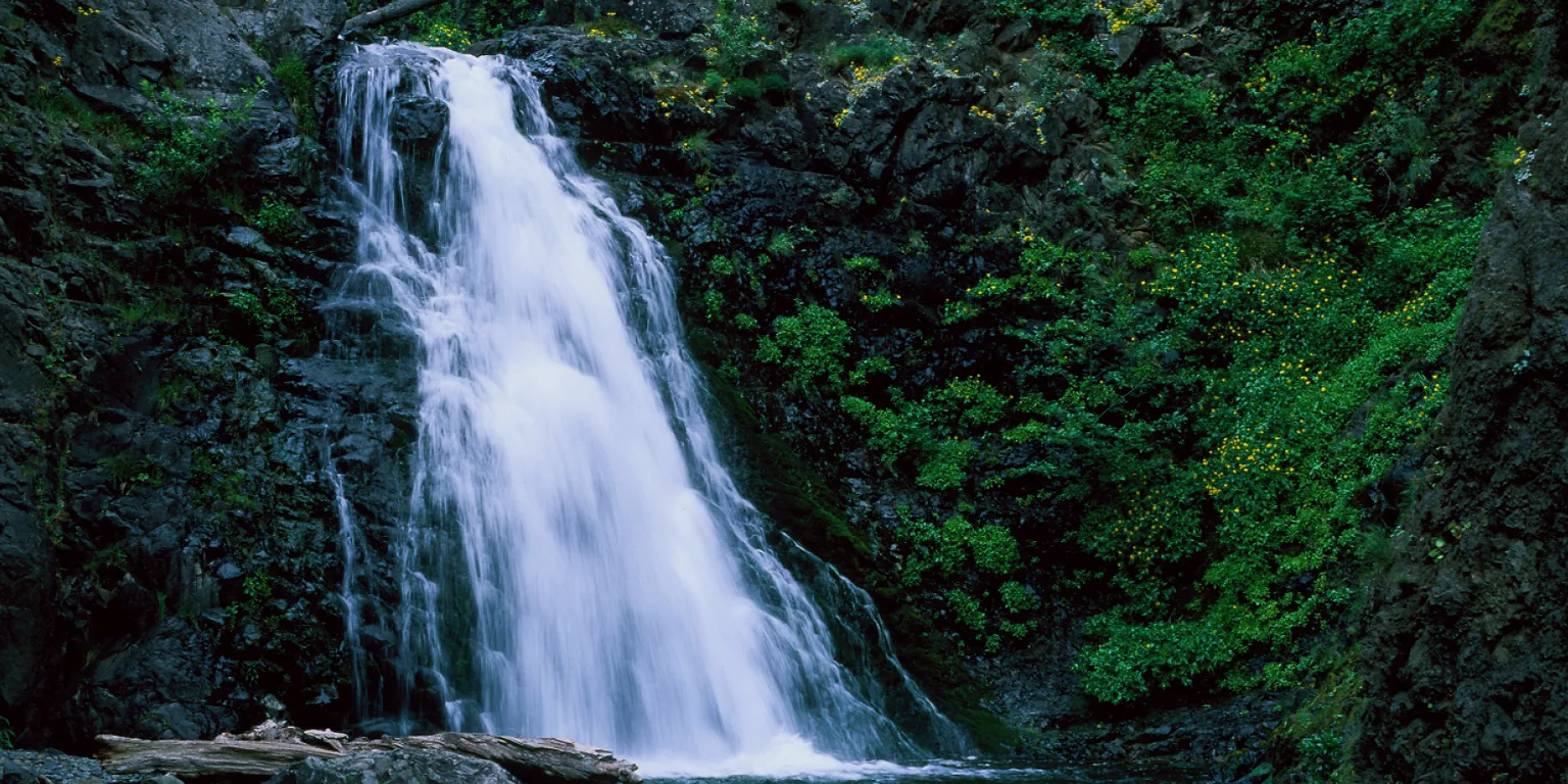 Dog Creek Falls. Photo by Greg Lief.