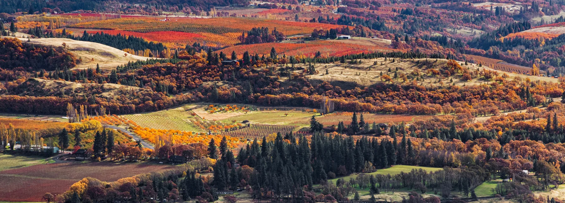 View of agricultural areas near Mosier, Oregon, in the eastern Columbia Gorge. (photographer: Don Jacobson)