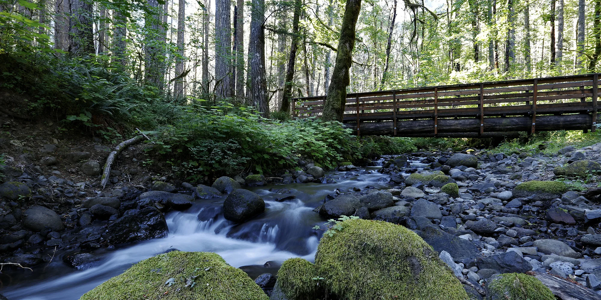 Bridge over Dry Creek. Photo by Micheal Drewry.