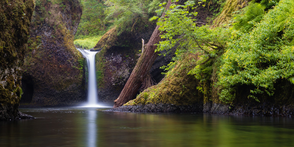 Punch Bowl Falls. Photo by Margot Kelley.