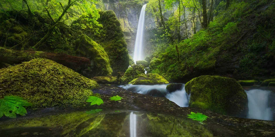 Elowah Falls and its reflection. Photo by Matt Meisenheimer.