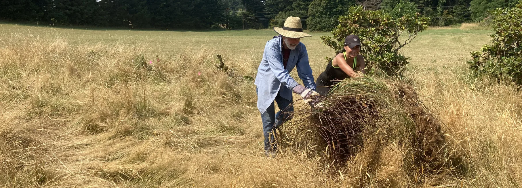 Stewardship volunteers work to remove fencing from Friends of the Columbia Gorge's Cape Horn preserve. (photographer: Sarah Skelly)