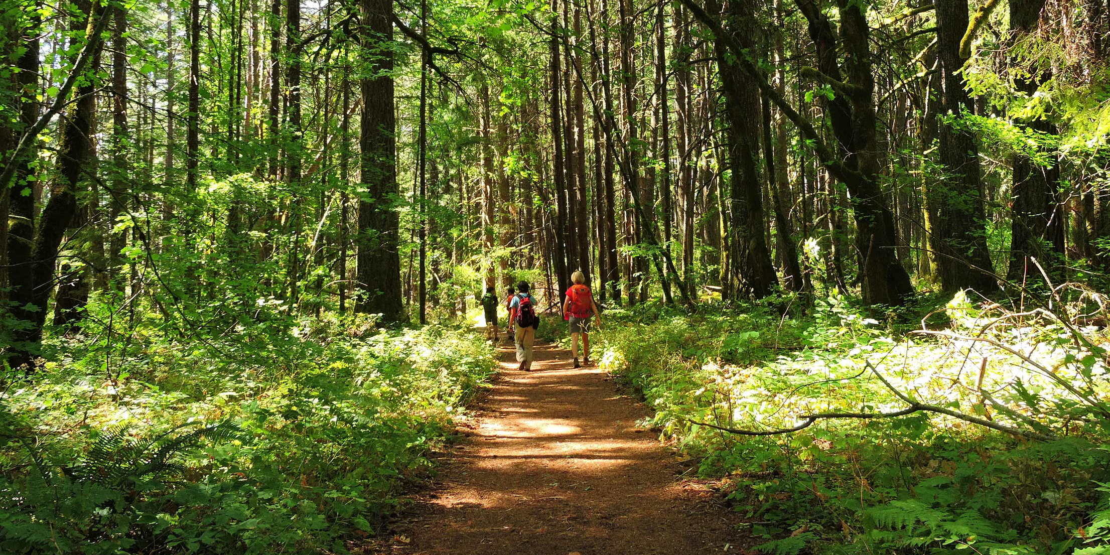 On the Herman Creek Trail. Photo by Debbie Asakawa.