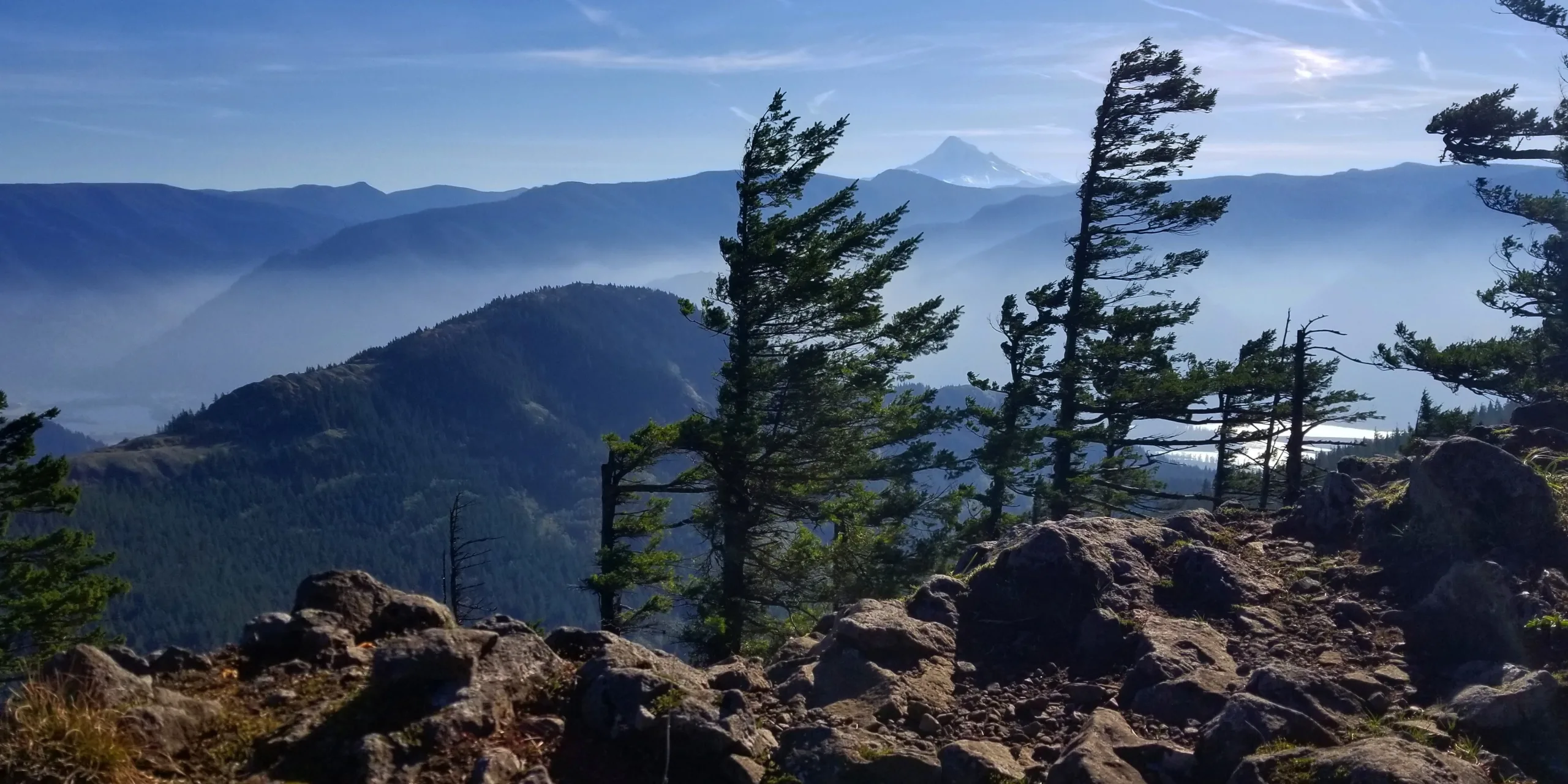 View from Hardy Ridge Trail. Photo by Katie Pikes.