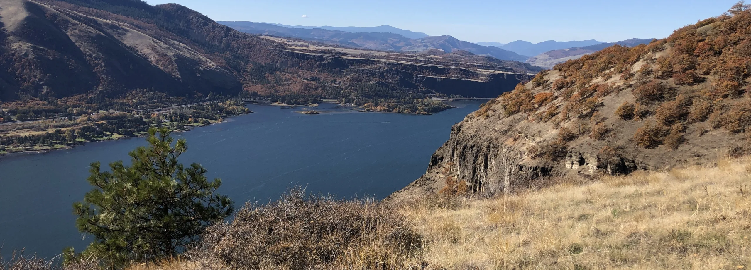 View looking west from a new loop of the Lyle Cherry Orchard trail. (photographer: Gabe Smith)
